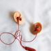 Soft Silicone Ear Model Artificial Human Ear for Acupuncture Ohr Picking Practice Practice Medical Teaching Display Props Left Right 1 Pair - Buy Online on SooperMarket.com