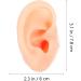 Exceart Silicone Ear Model - Acupuncture Simulation & Piercing Practice Tool - Food Grade Medical Quality - Buy Online on SooperMarket.com