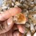 Raw Crystals Bulk Natural Stone Crystal Rough Citrine Crystal Point 20pc Full of Texture - Buy Online on SooperMarket.com