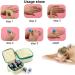 Haci Magnetic Cupping Set - 12 Cups - Buy Online on SooperMarket.com