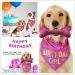 Dog Birthday Bandana Girl Set Pet Happy Birthday Toy Party Triangle Bibs with Cute Biting Bone Scarf Accessory for Small Medium Large Dogs Cats - Pink - Buy Online on SooperMarket.com