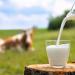 Lakeland Semi-Skimmed Milk 1000 ml (Pack of 12) - Buy Online on SooperMarket.com