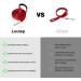 Loutep 5M Dog Training Lead - Durable Nylon Long Line Leash with Padded Handle & Heavy-Duty Swivel Hook - Perfect for Obedience & Outdoor Use - Buy Online on SooperMarket.com