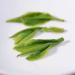 Huoshan Huangya 50g New tea leaves Loose tea Yuqian Yellow Tea high mountain Spring tea - Buy Online on SooperMarket.com
