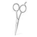 Beard Scissors, Stainless Steel Scissors for Trimming, Cutting Beard, Mustache, Eyebrow, Nose Hair by HAWATOUR, Silver Classic