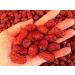 Red Dates Chinese Sweet Dried Dates 100g - Buy Online on SooperMarket.com