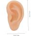 Silicone Ear Model - 3D Major Cyborg Presentation Tool for Ear Training and Piercing Practice - Buy Online on SooperMarket.com