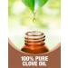 Ethereal Nature 100% Pure Clove Oil Aromatherapy Skin & Hair Care | 4 FL OZ - Shop Now - Buy Online on SooperMarket.com