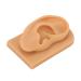 Soft Silicone Kadimendium Ear Model - Waterproof and Easy to Observe | Right Ear Model for Display - Buy Online on SooperMarket.com