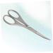 Buy Balacoo Stainless Steel Vibrissa Scissors 1pc Nose & Eyebrow Hair Trimmer | Medium Silver | International Shipping - Buy Online on SooperMarket.com