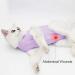 LIANZIMAU Cat Surgical Recovery Suit - Purple Medium - E-Collar Alternative & Pajama for Abdominal Wounds - Indoor Pet Clothing - Buy Online on SooperMarket.com