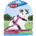 Trixie 4144 Kitten Harness with Leash - Adjustable Nylon 21-33 cm Assorted Colors - Comfortable & Safe Pet Gear - Buy Online on SooperMarket.com