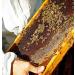 Moroccan Argan Honey 300 g - Buy Online on SooperMarket.com