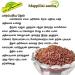 nalAmudhu Bridegroom Rice Flakes | Brown Rice Poha | Mapillai Samba Aval -330g - Buy Online on SooperMarket.com