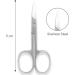 SS INSTRUMENTX Nail Scissors - Professional Curved Blade for Men and Women - Multi-Purpose Manicure Tool for Cuticle and Thick Toenails - Buy Online on SooperMarket.com