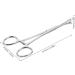 BCOATH Reptile Feeding Clip Lizard Stuff Feeding Tongs Snake Tongs Stainless Steel Silver - Buy Online on SooperMarket.com
