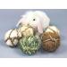 Camiter 9-Piece Chewing Toy Set for Small Animals | Hamsters Rabbits Guinea Pigs & More - Durable Chew Cases & Cube Toys - Buy Online on SooperMarket.com