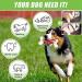 2TRUL Indestructible Dog Toy for Aggressive Chewers - Real Bacon Flavored Chew Bone for Large Dogs - Best Toy to Keep Them Busy - Buy Online on SooperMarket.com