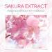 Japan Sakura Serum - Cherry Blossom Facial Essence for Hydration & Dark Spot Reduction | 30ml x 2pcs - Buy Online on SooperMarket.com