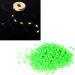 Hilai Bait Rigs - Glow in the Dark Fishing Beads | Luminous Float Fishing Lures | International Shipping Available - Buy Online on SooperMarket.com