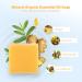 Buy Vegan Ginger Bar Soap - Lymphatic Detox Natural & Organic Soap Gift Set with Soap Savers for Men Women & Kids | International Shipping Available - Buy Online on SooperMarket.com