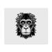 2 x Microfiber Cleaning Cloths "Monkey Face" (LC00024635)