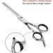 Professional Stainless Steel Dog & Cat Grooming Scissors | Eye Cutting Tools | 17x6.6cm Fello Care - Buy Online on SooperMarket.com