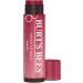 Buy BURTS BEES Daisy Tinted Lip Balm - 4.25 GR | Moisturizing Lip Care Worldwide Shipping - Buy Online on SooperMarket.com