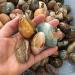 3pc Natural Minerals Ocean Jasper Palm Size Tumbled Stones for Decoration