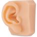 Nicfaky Soft Silicone Right Ear Model for Practicing Suture for Jewelry Display Silicone Ear for Teaching Instructions - Buy Online on SooperMarket.com