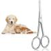 Buy Adiwo 10.5 cm Stainless Steel Dog Hair Scissors | Rounded Fur Scissors for Perfect Coat Care | International Shipping - Buy Online on SooperMarket.com