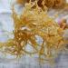 Gold Sea Moss Chinese Dried Seamoss for Food 250G - Buy Online on SooperMarket.com