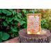 100% Natural Honeycomb Wildflowers Pure Raw Honey Comb (600 grams) - Buy Online on SooperMarket.com