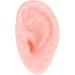 Blackheads Remover Toy TPE Stress Relief Ear Blackheads Remover Toy Reusable Simulation Type Remover Blackhead Ear Shaped Toy - Buy Online on SooperMarket.com