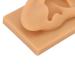 Soft Silicone Kadimendium Ear Model - Waterproof and Easy to Observe | Right Ear Model for Display - Buy Online on SooperMarket.com