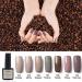 AQUAPURITY PHOERA UV Gel Nail Polish Soak off Color Gellish Base Top Tempered Matte Coat Long Lasting Varnish Manicure Art Polishes Non Smudge Formula 8ML (147 DARKSTAR) - Buy Online on SooperMarket.com