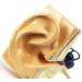 Ear Anatomical Model - Magnification 1.5X Inner Ear Ear System Structure Model Training Model for Medical Medical Practice - Buy Online on SooperMarket.com