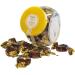Buchanan's Chocolate Caramel Toffees - 250g Cookie Jar, Individually Wrapped | Shop Now! - Buy Online on SooperMarket.com