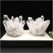 Gift Natural Beautiful White Crystal Cluster Quartz Raw Ore Home Decor Crafts Ornaments Specimens for Healing Crystals (Size : 600-700g) - Buy Online on SooperMarket.com