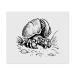 2 x Hermit crab microfiber cleaning cloths (LC00026456)