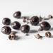 Macadamia Dipped Nuts Chocolate 12 x 1.41oz - Keto Vegan Paleo Gluten-Free Sugar-Free - Buy Online on SooperMarket.com