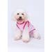3-Pack Dog Clothing | Princess & Prince T-Shirts for Cats & Small to Medium Dogs - Cute Costumes - Buy Online on SooperMarket.com