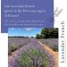 Absolute Aromas French Lavender Essential Oil 30ml - 100% Pure, Natural, and Cruelty-Free - Ideal for Diffusers and Aromatherapy Blends - Buy Online on SooperMarket.com