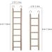 3pcs Natural Wooden Bird Ladder for Parrots, Parakeets, Cockatiels - 6 Step, 7 Step, 8 Step Climbing Accessories - Buy Online on SooperMarket.com
