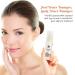 Shankara Ageless Vitamin C Serum - Hydrating Herbal Neck & Face Serum for Dark Spots Fine Lines & Wrinkles - Cruelty-Free & Fragrance-Free (30ml - Buy Online on SooperMarket.com