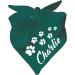 Dog triangular scarf (colour: turquoise) (size 2 (68 cm)) name of the dog 68 x 20 turquoise