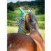 Shires Zeb-Tek Fly Mask - Zebra Print Full zebra Full - Buy Online on SooperMarket.com
