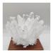 Home Decor 1pcs Natural Raw Quartz White Clear Crystal Cluster Stones Crystal Point Specimen Home Decoration Raw Crystals Mi Soothing Crystal Household Crystal Cluster (Size : 600-700g)
