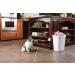 PetSafe Pawz Away Spray Deterrent - Effective Pet Training Tool - Buy Online on SooperMarket.com