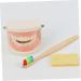 Frcolor Early Dental Education Role-Playing Toys | Wooden Puzzle for Kids & Toddlers - Learn to Brush Teeth Fun! - Buy Online on SooperMarket.com